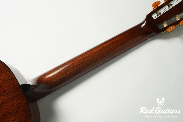 00-Nylon w/FISHMAN Matrix VT Enhance